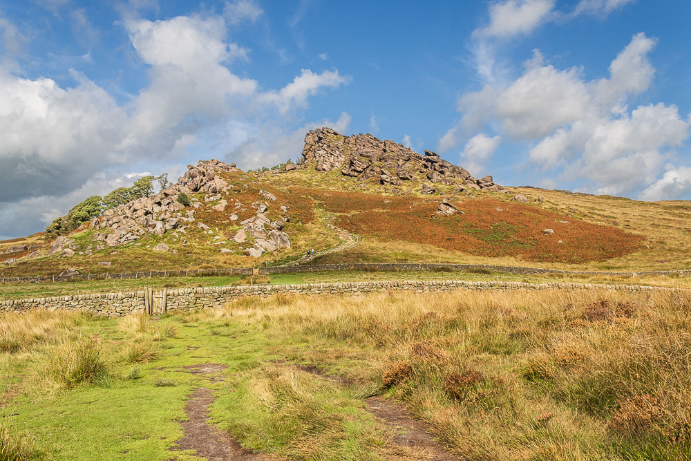 The Roaches The Roaches